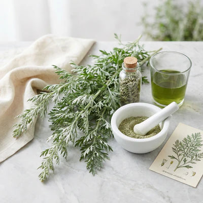 Wormwood