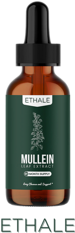 Our Product